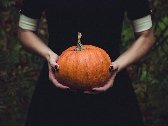 Health and Nutrition Benefits of Pumpkin That You May Not Know